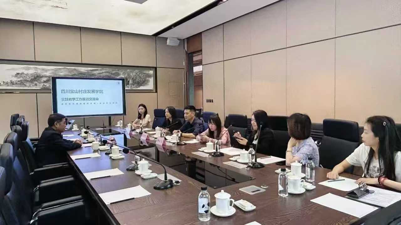 设计艺术学院与宝山村共商实践教学深度合作——校企携手打造“真题真做”育人平台 (3)