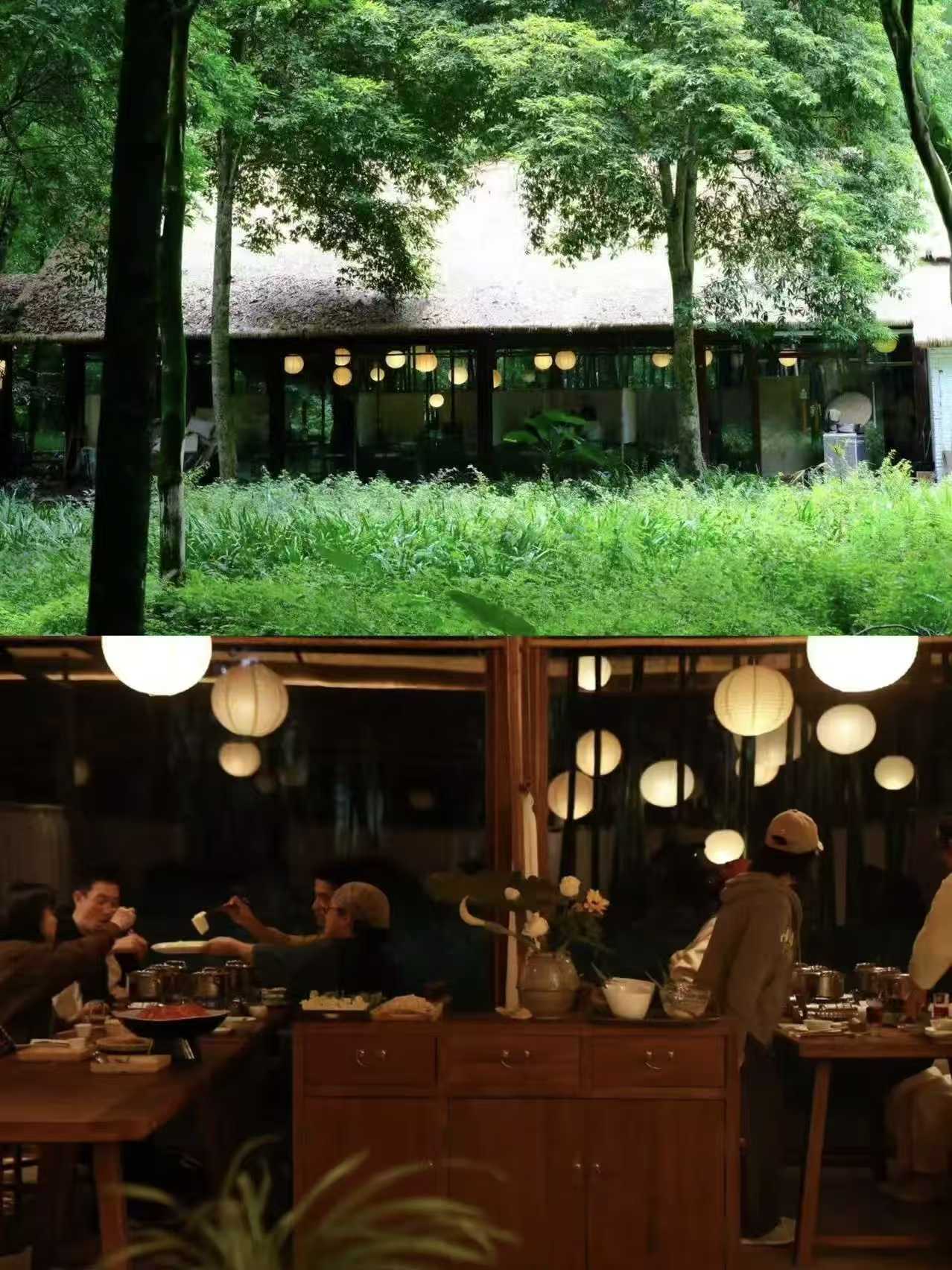 设计赋能“林下食养” 新场景,银杏学院携手食物减法打造沉浸式疗愈空间 (2) 设计赋能“林下食养” 新场景,银杏学院携手食物减法打造沉浸式疗愈空间 (2)