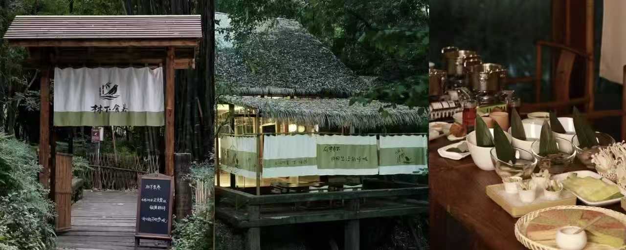 设计赋能“林下食养” 新场景,银杏学院携手食物减法打造沉浸式疗愈空间 (4) 设计赋能“林下食养” 新场景,银杏学院携手食物减法打造沉浸式疗愈空间 (4)