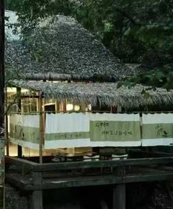 设计赋能“林下食养” 新场景,银杏学院携手食物减法打造沉浸式疗愈空间